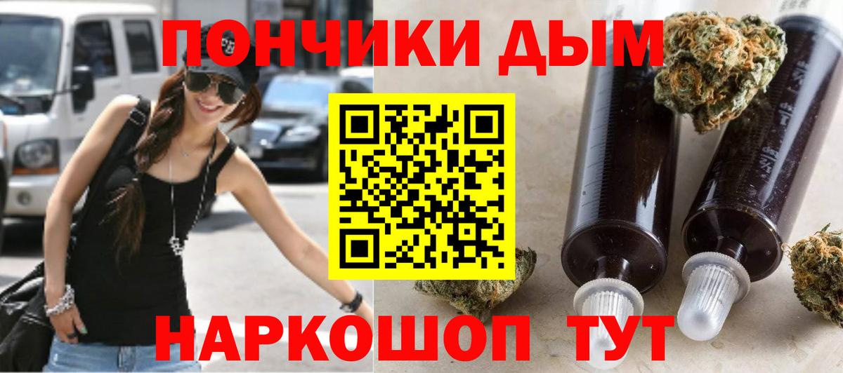 Конопля конопля  Канабис сатива  Вход с VPN  Бошки марихуана Bruce Banner  Александров 